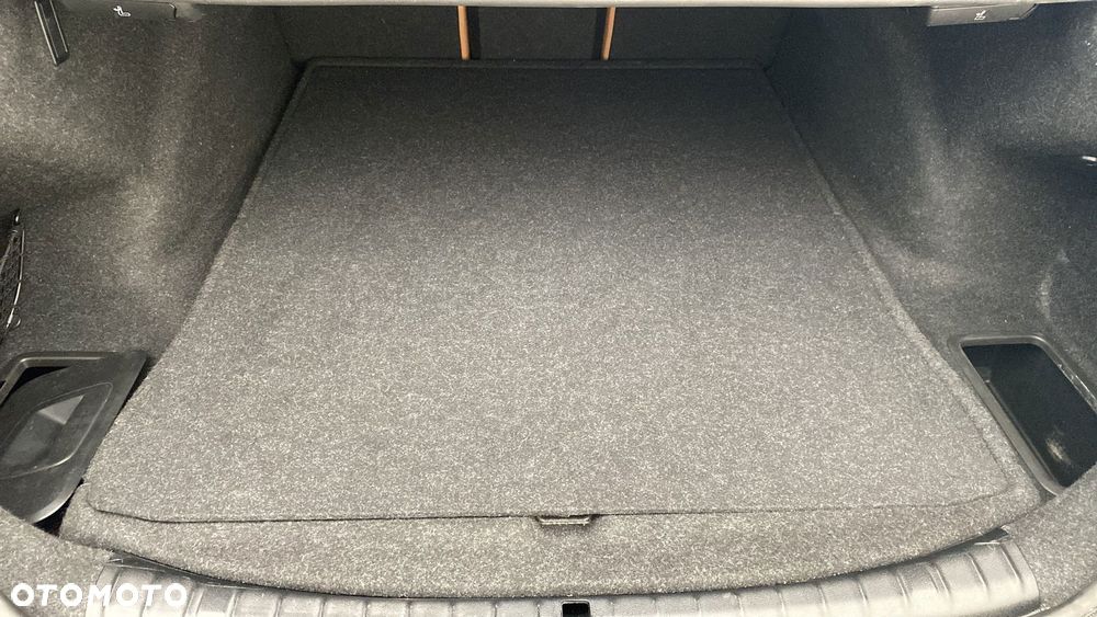 BMW Seria 5 520d MHEV Luxury Line - 13