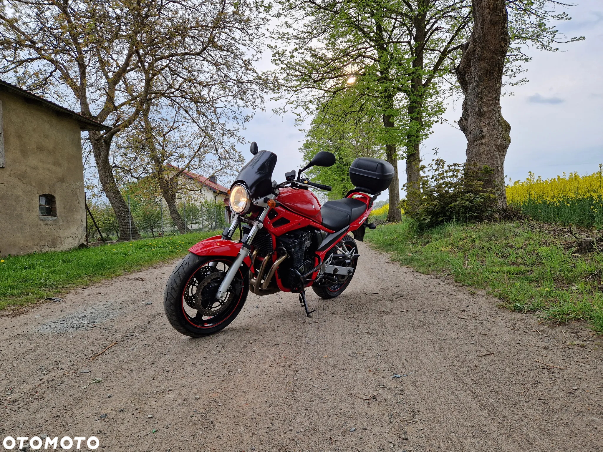 Suzuki Bandit - 2