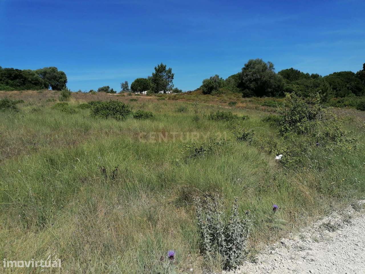 Terreno com 454 m2 Alfarim - Grande imagem: 5/8