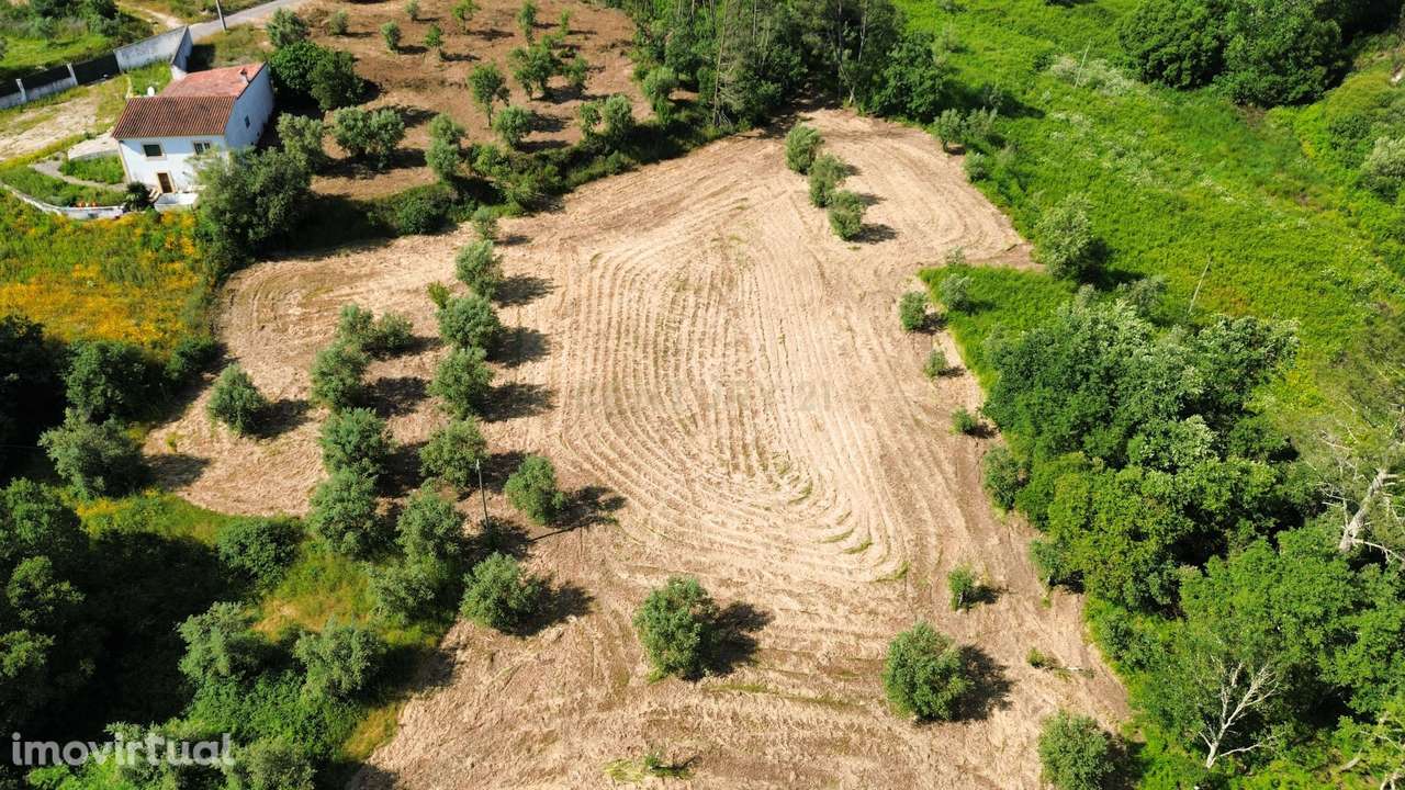 Terreno Construível em Pombal com Vista Panorâmica - Grande imagem: 2/19