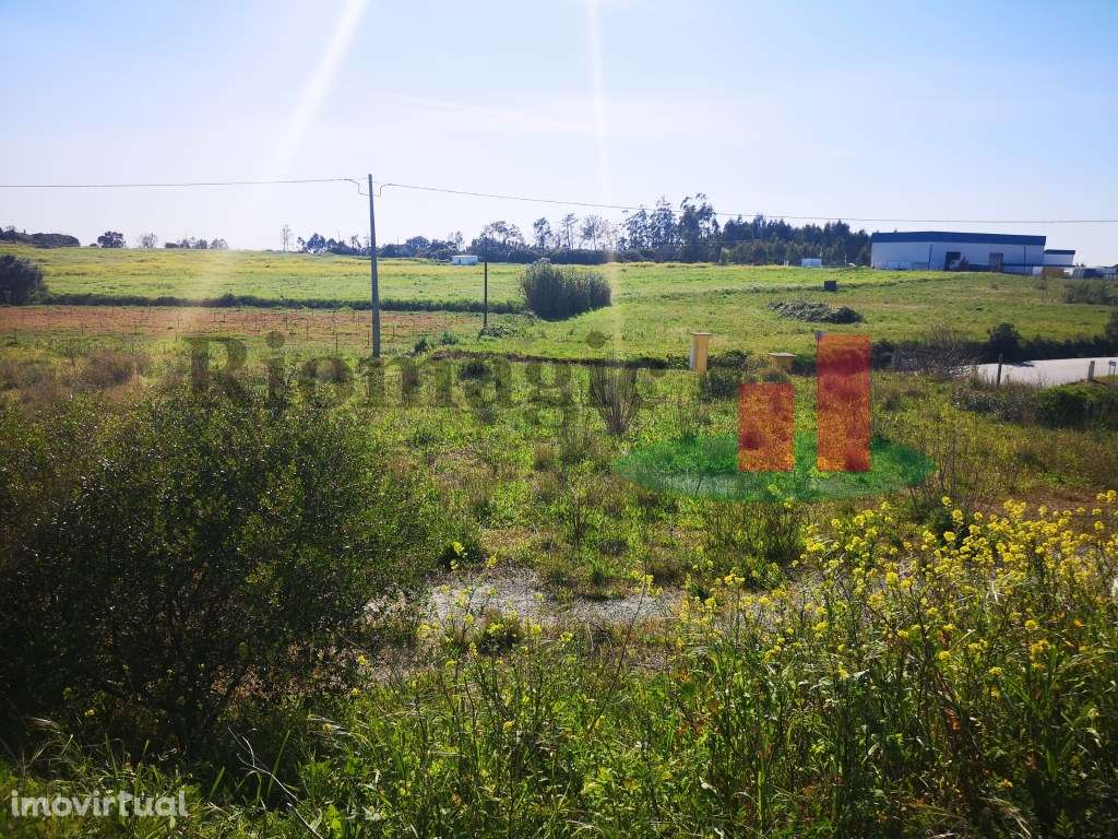 Terreno em Malaqueijo - Rio Maior ***RIOMAGIC*** - Grande imagem: 4/12