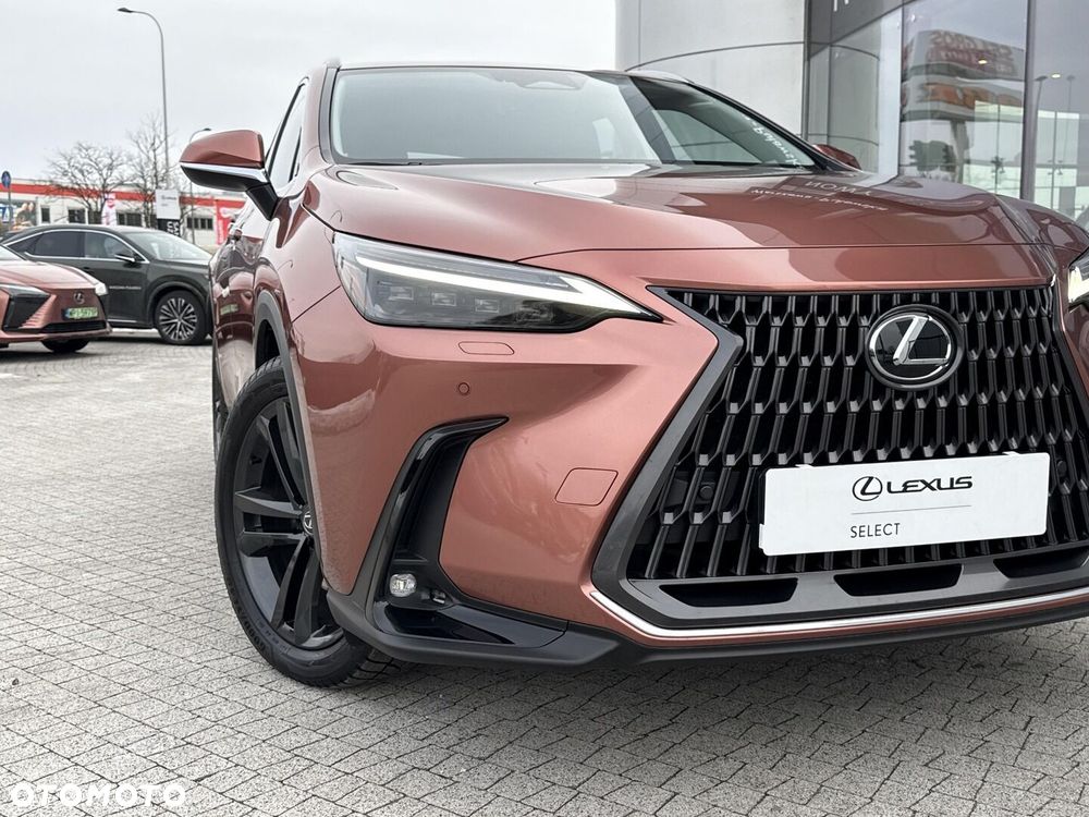 Lexus NX - 23