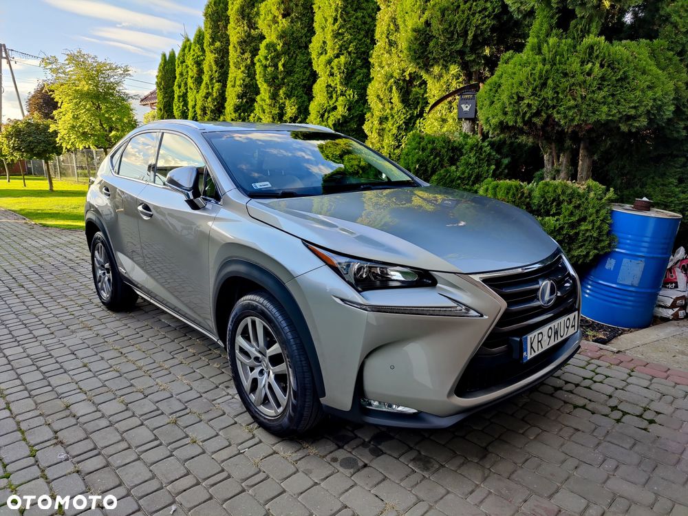 Lexus NX 300h Prestige AWD - 12