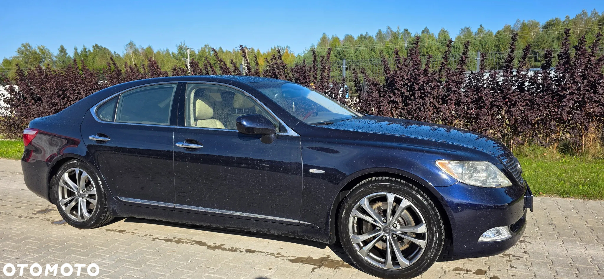 Lexus LS 460 - 7