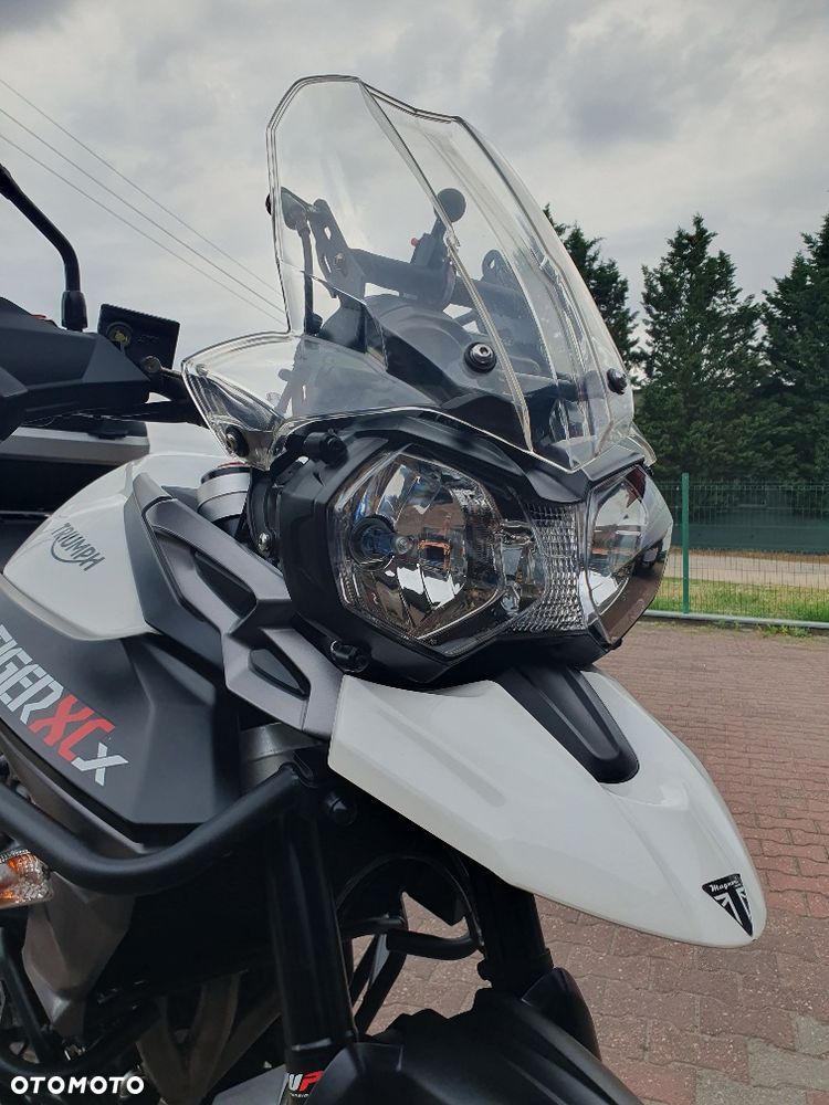 Triumph Tiger - 26