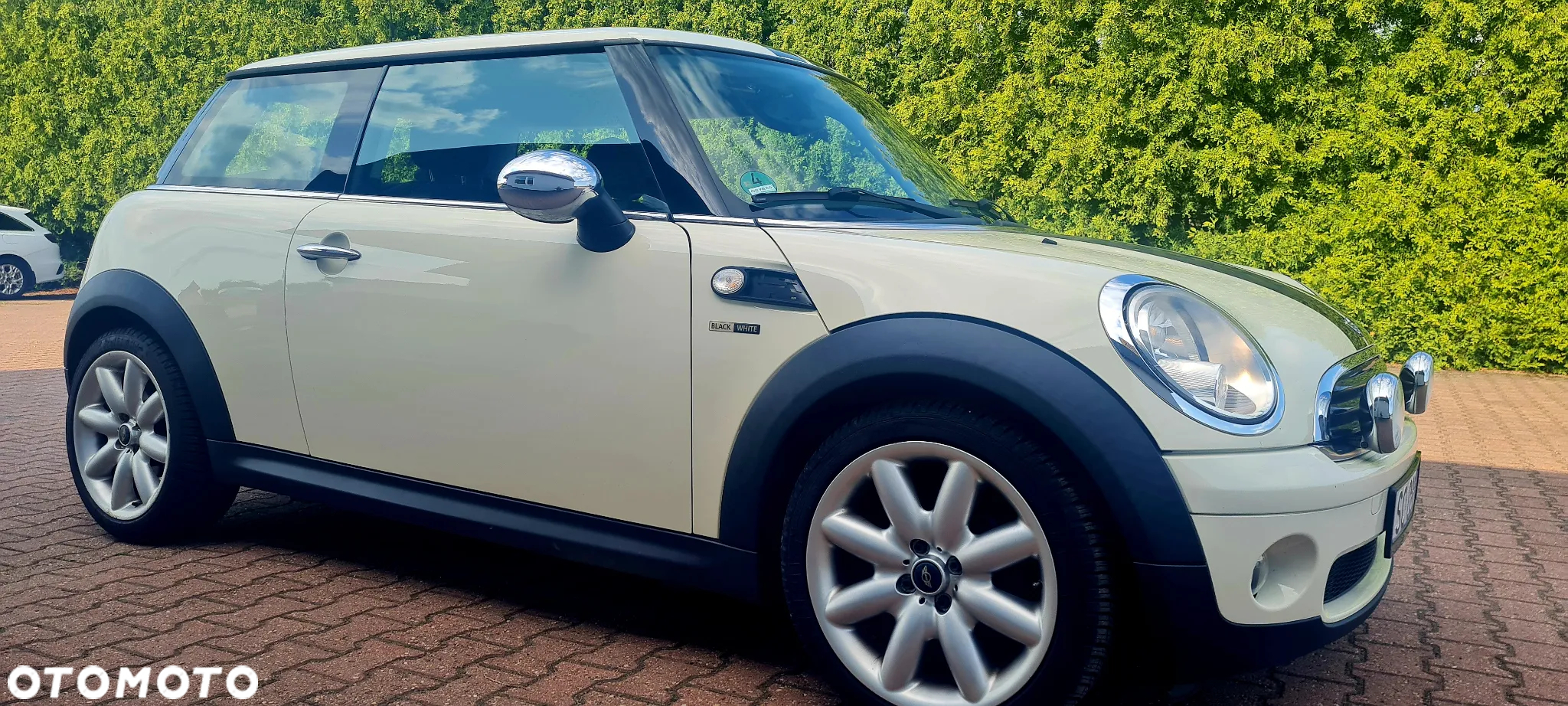MINI ONE Standard - 10