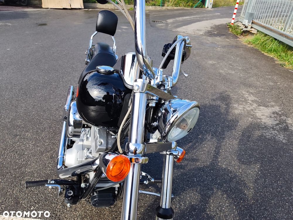 Harley-Davidson Softail Standard - 23
