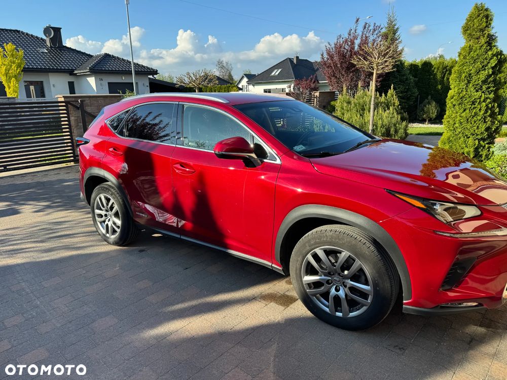 Lexus NX 300h Comfort AWD - 4