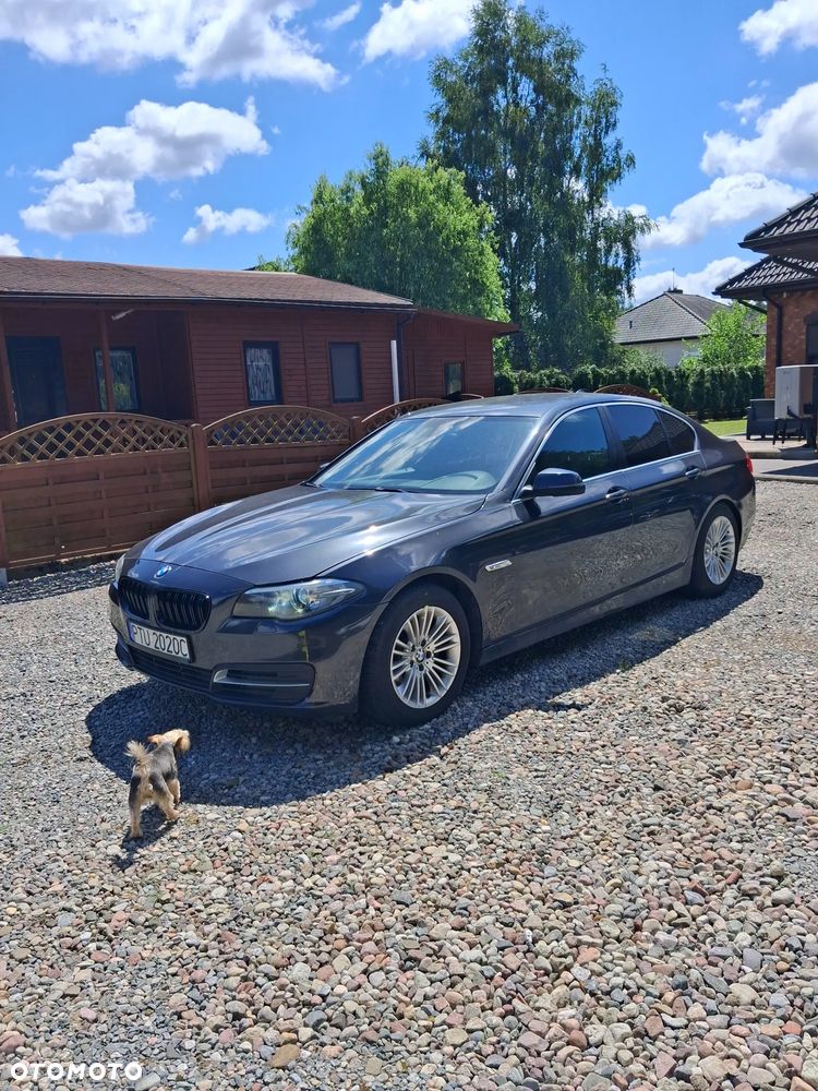 BMW Seria 5 518d Modern Line - 1