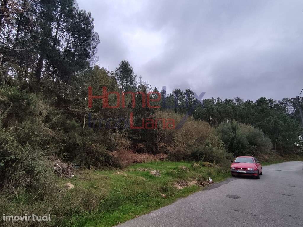 Terreno em Castro Daire - Grande imagem: 4/13