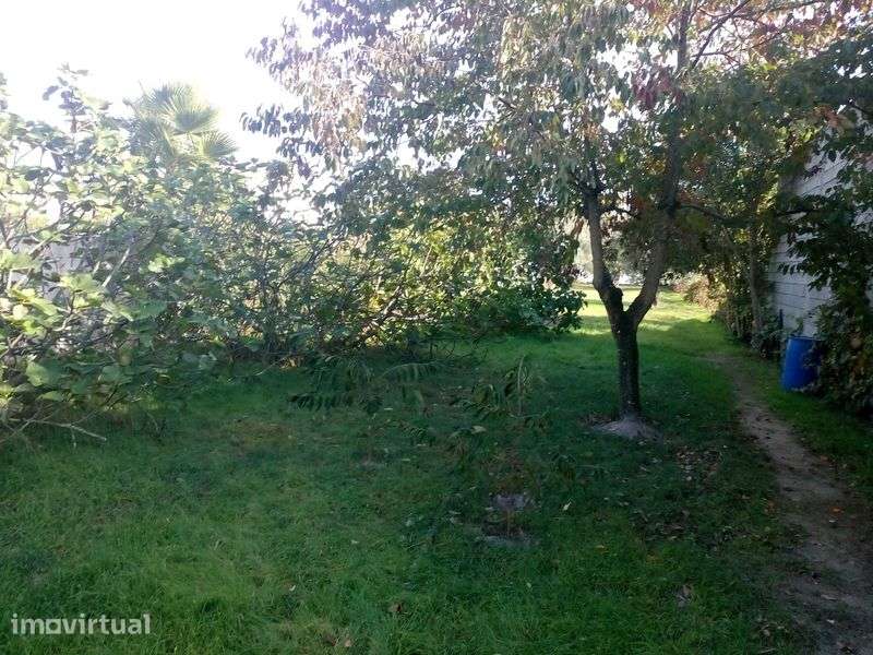 QUINTA Situada a 1800 M  da CIDADE de PONTE de SOR - Grande imagem: 5/9