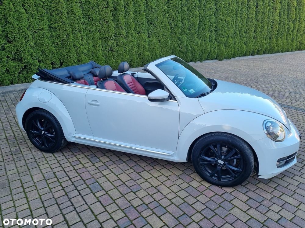 Volkswagen Beetle - 8