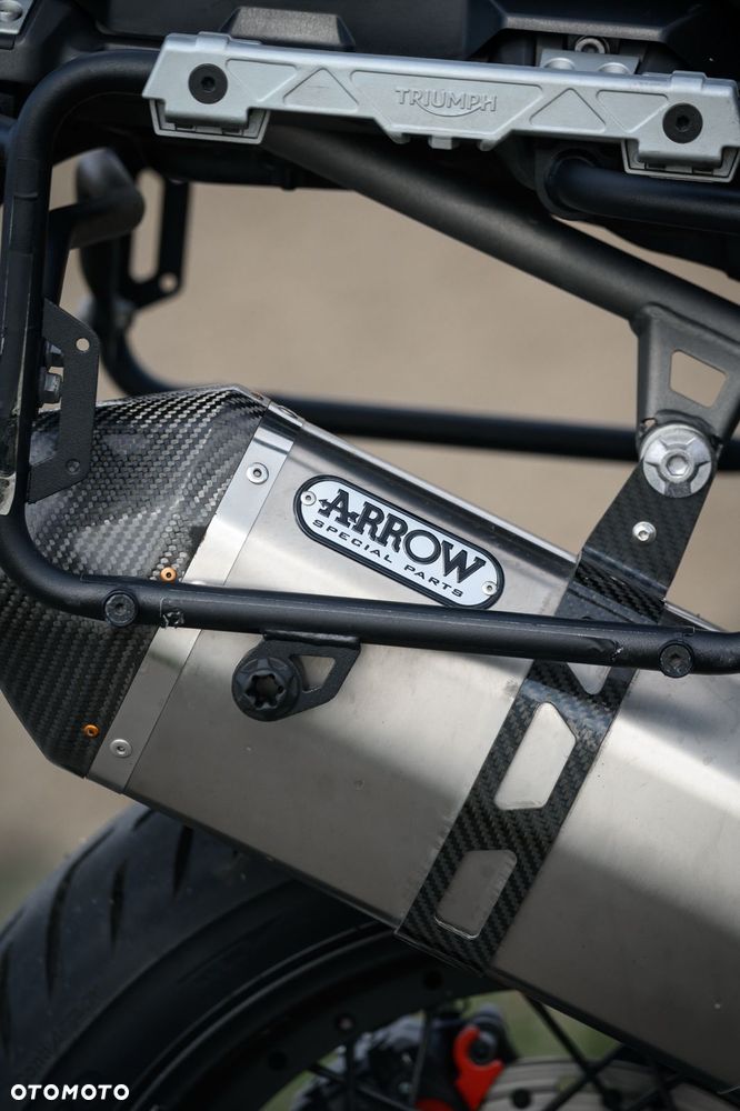 Triumph Tiger - 19