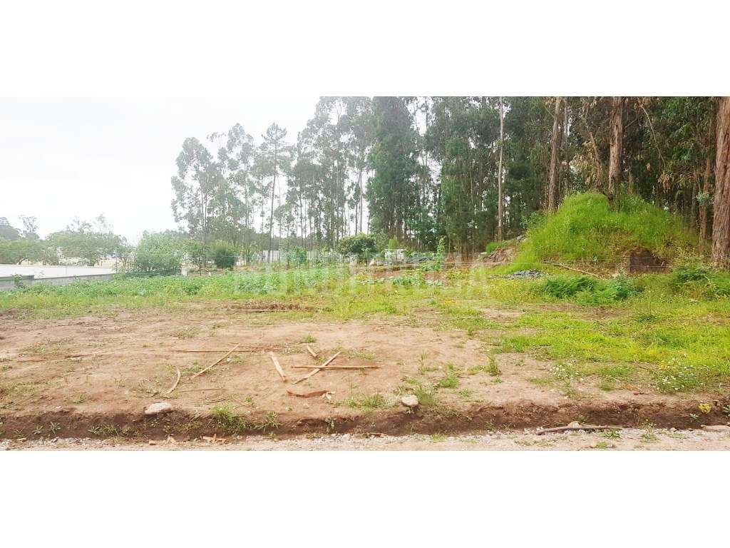 Lote individual Perelhal - Grande imagem: 2/8