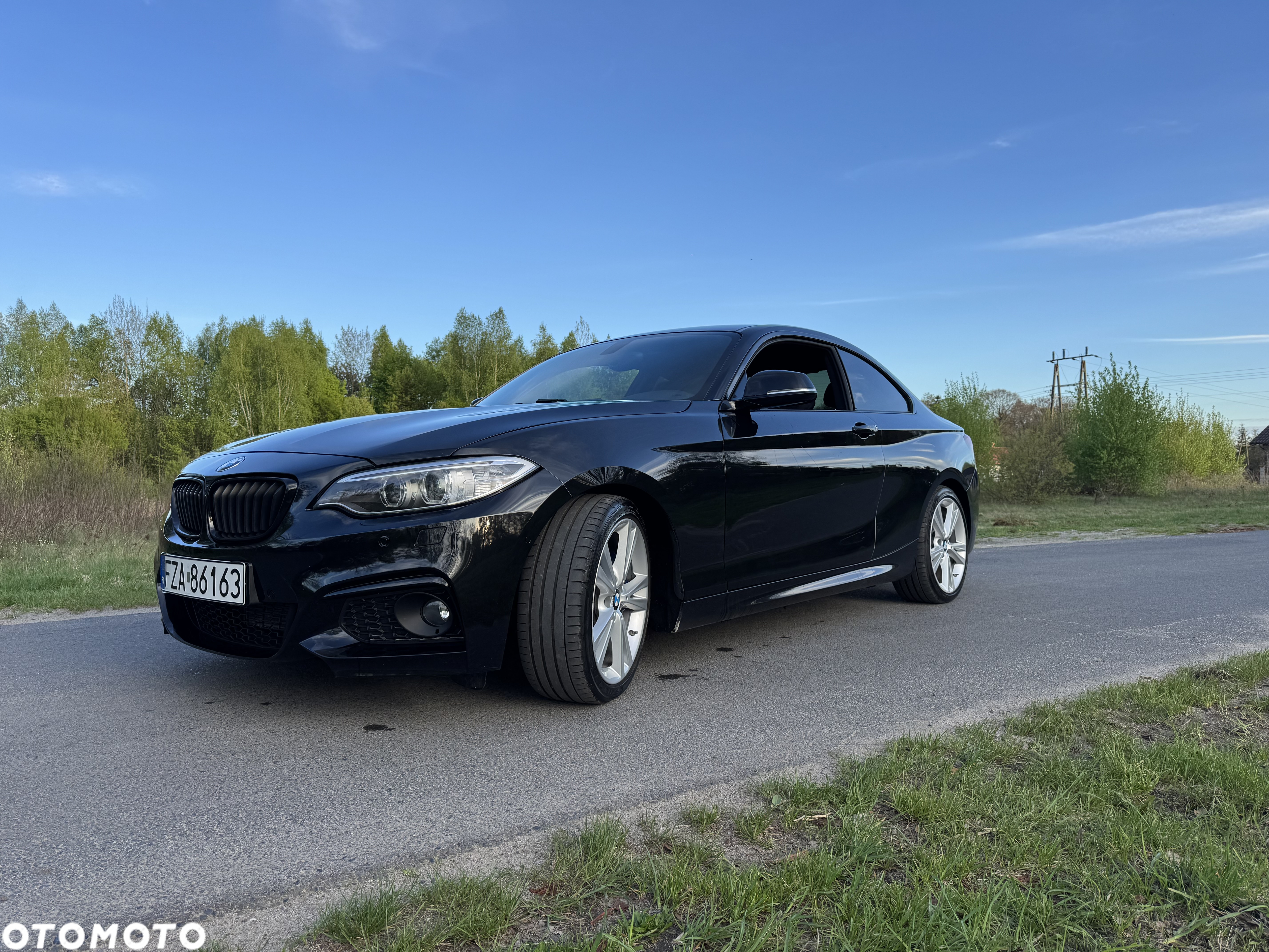 BMW Seria 2 220d Coupe - 2