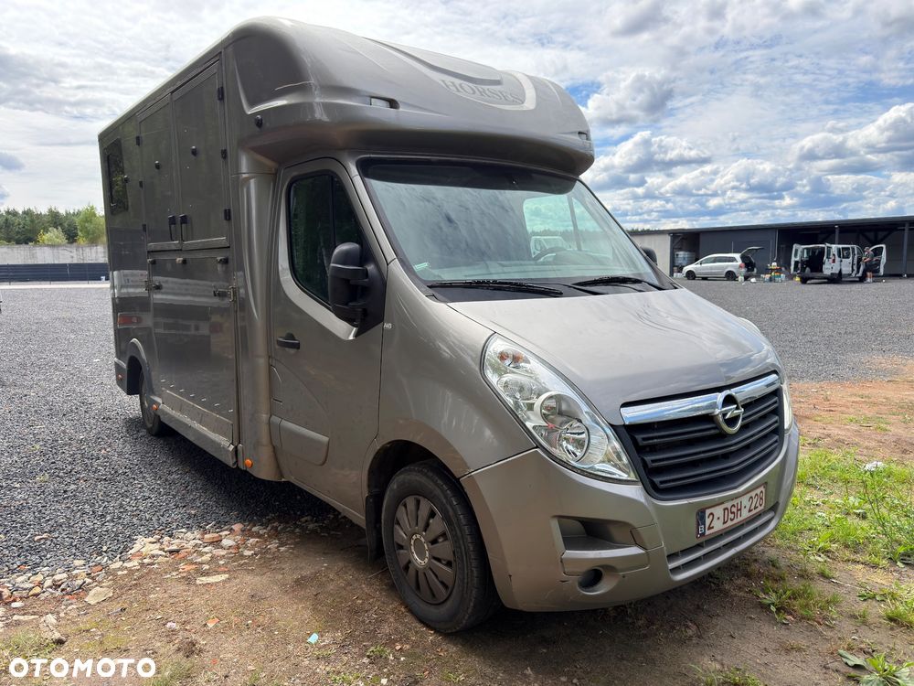 Opel MOVANO Koniowóz - 3
