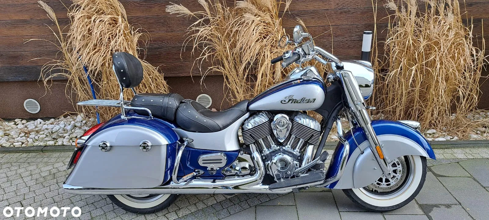 Indian Springfield - 23