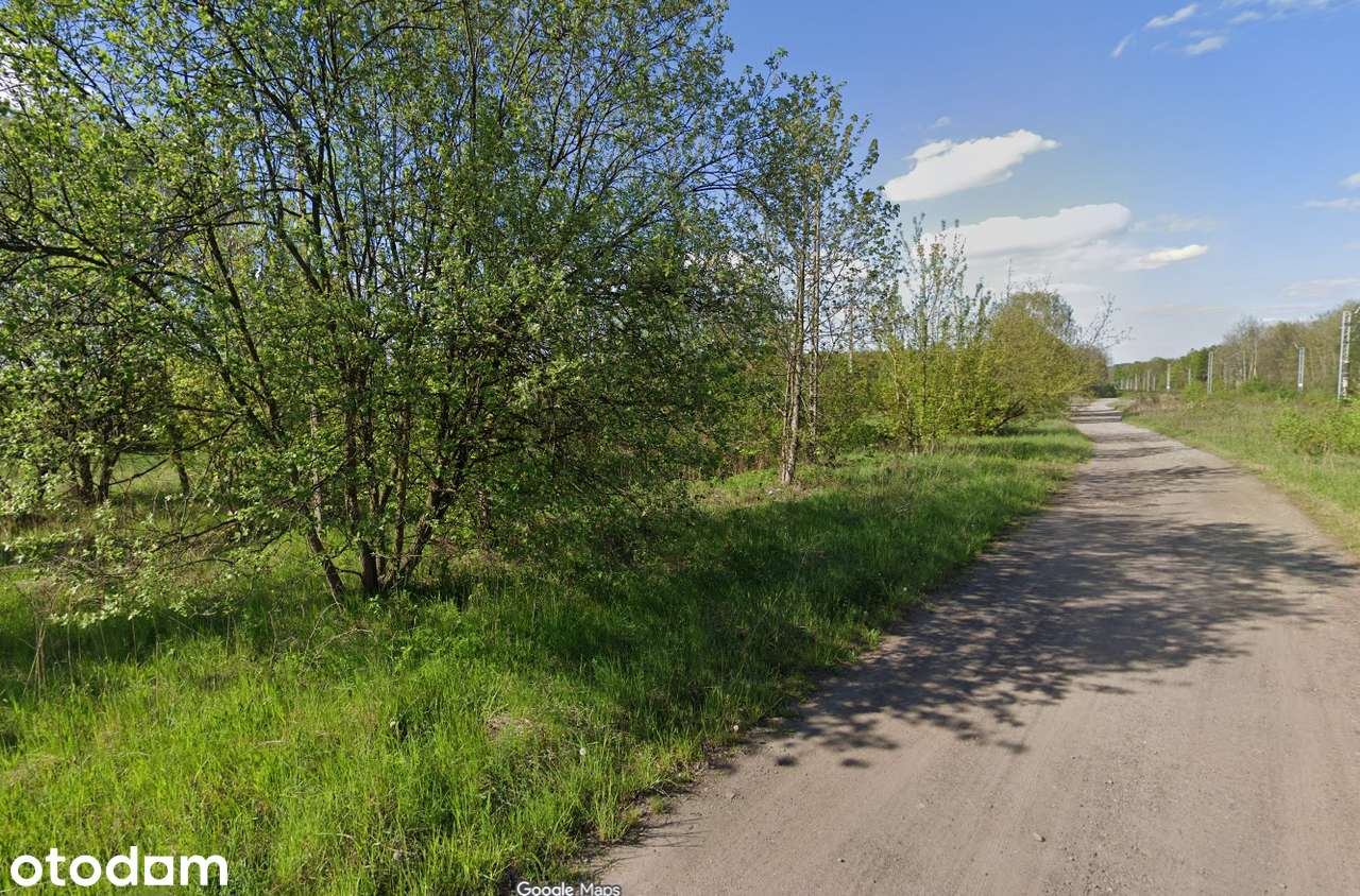 Knurów ul. Ściegiennego dz. 1509/25 budowlana - Pełny obrazek: 2/3