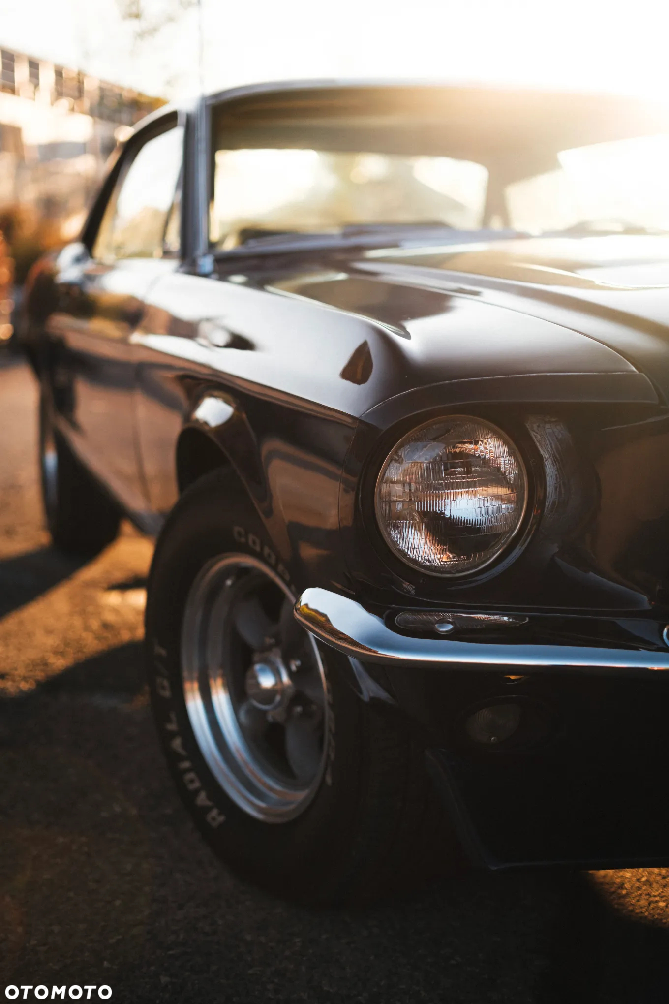 Ford Mustang - 2