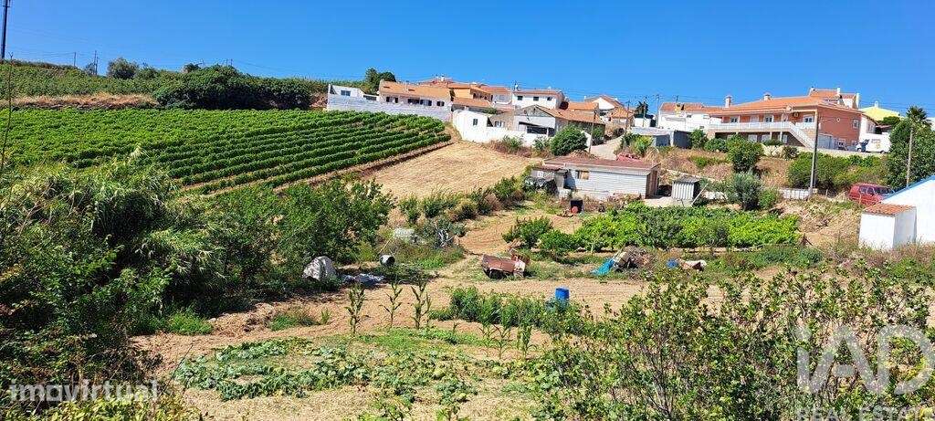 Terreno em Maxial e Monte Redondo de 3080,00 m2 - Grande imagem: 4/29