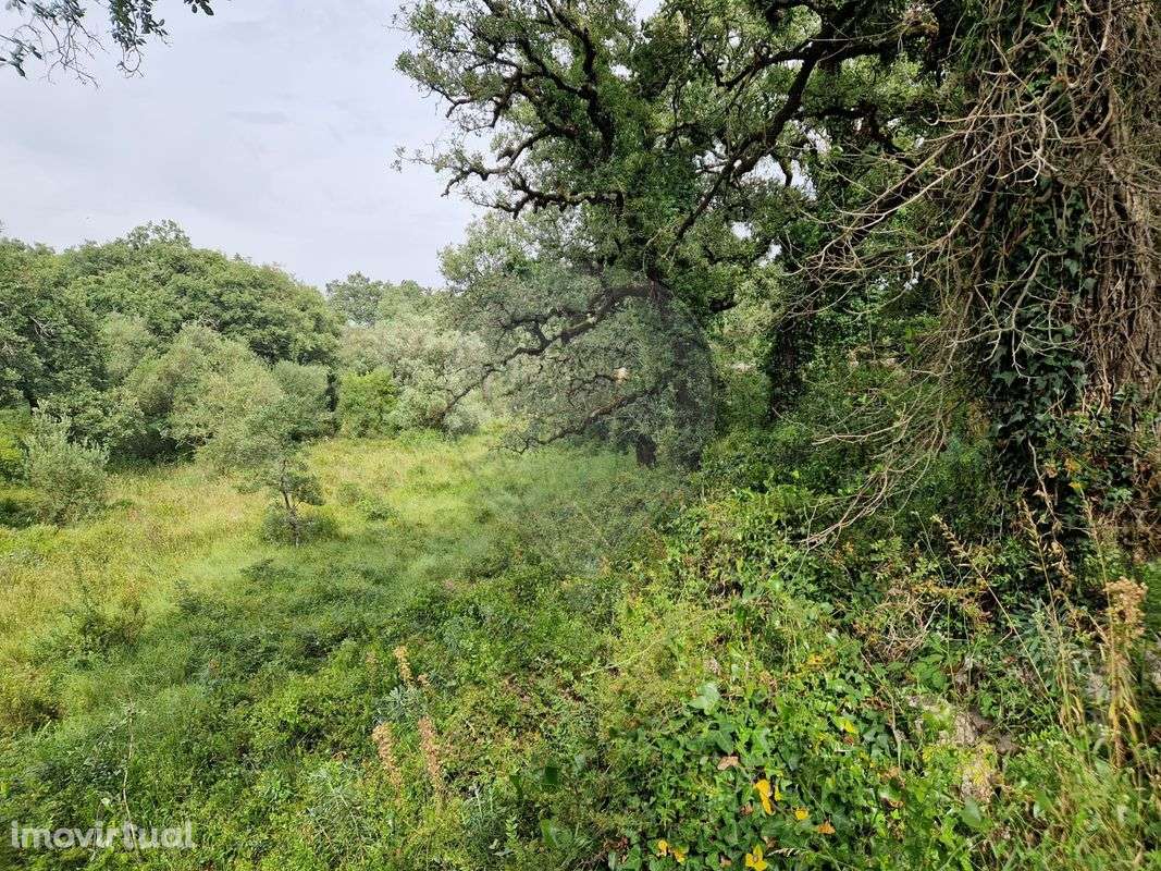 Terreno  para venda - Grande imagem: 3/6