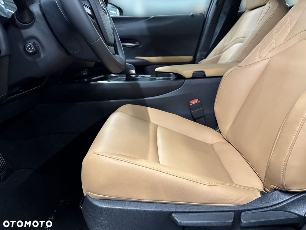 Lexus UX 300h F Sport Design AWD - 16