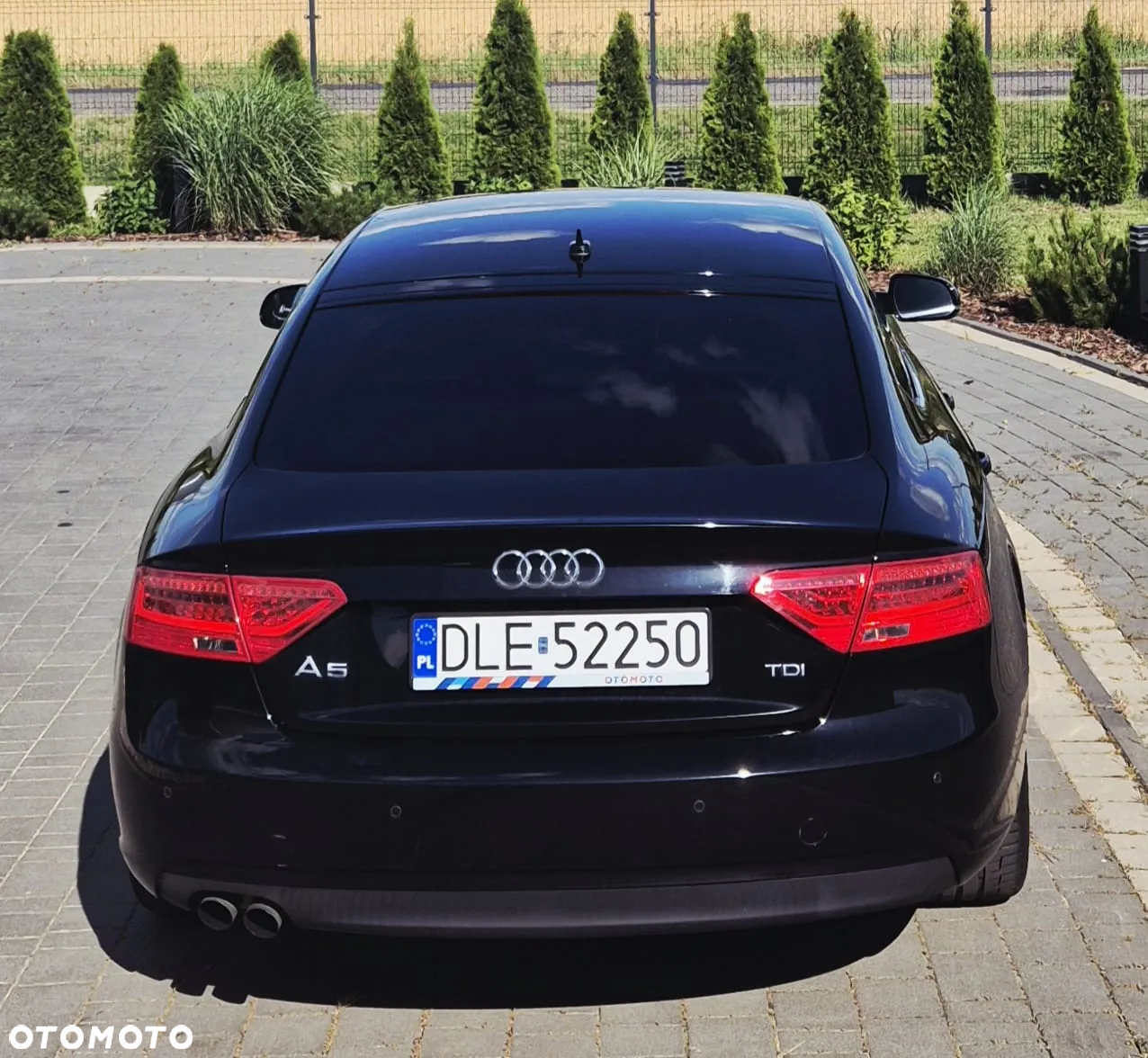 Audi A5 2.0 TDI Multitronic - 4