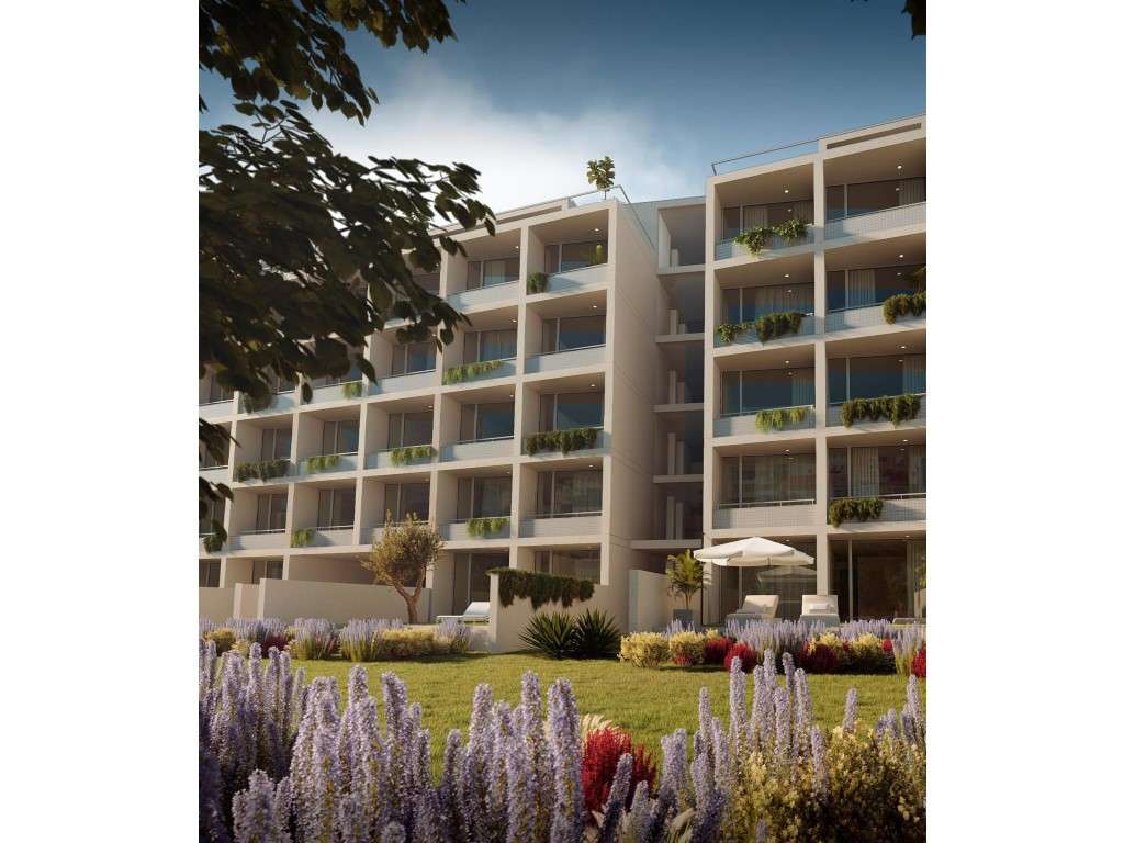 Apartamentos T0 - Baixa / Novo - Grande imagem: 2/8