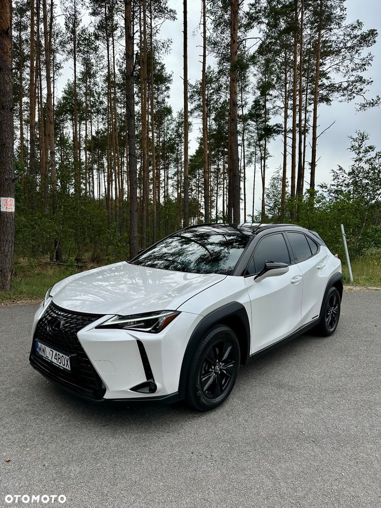 Lexus UX 250h Prestige 2WD - 7