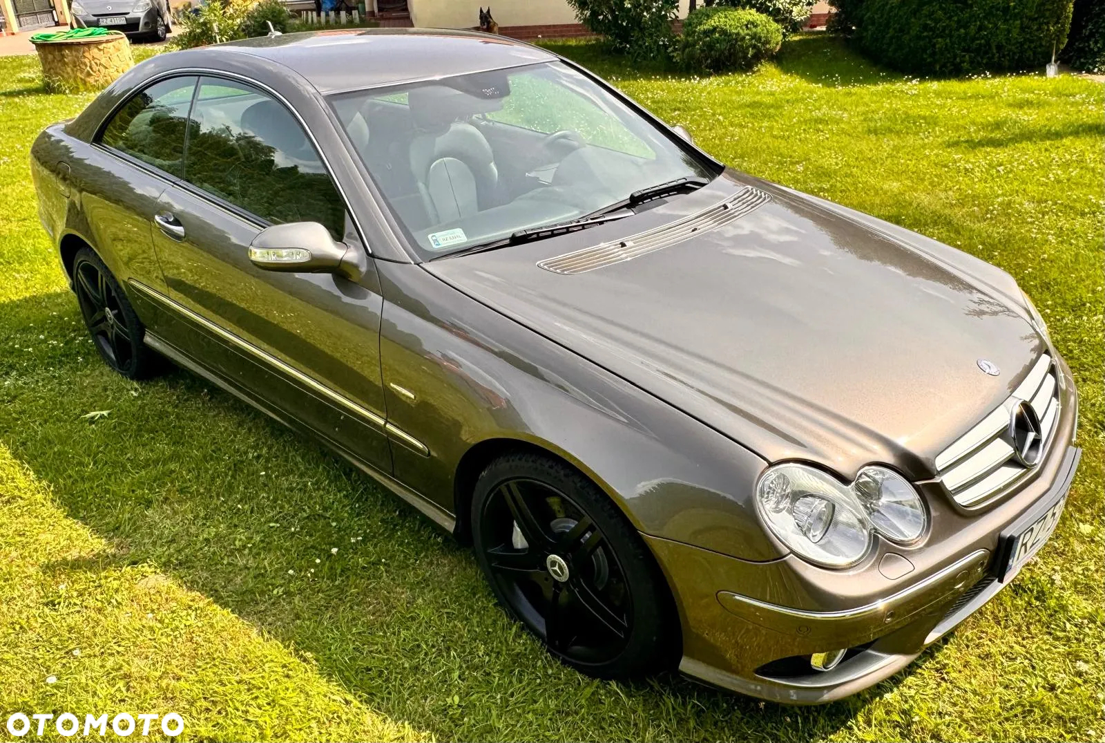 Mercedes-Benz CLK - 8