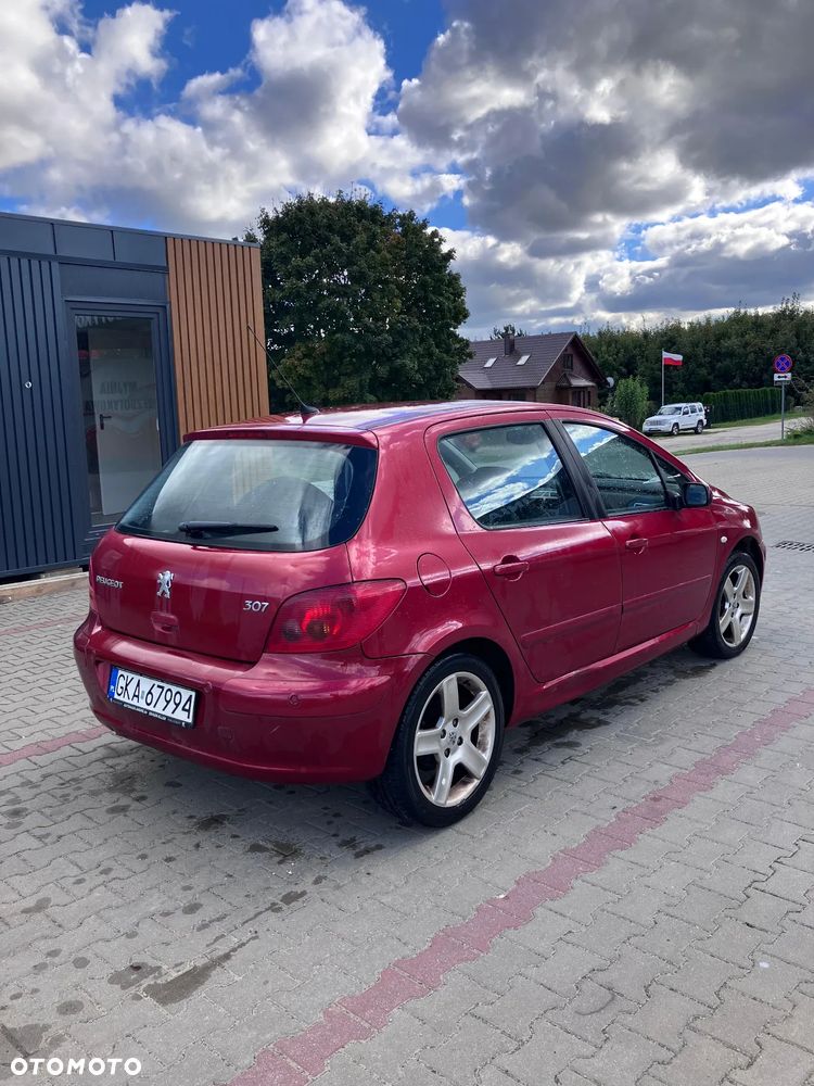 Peugeot 307 - 16