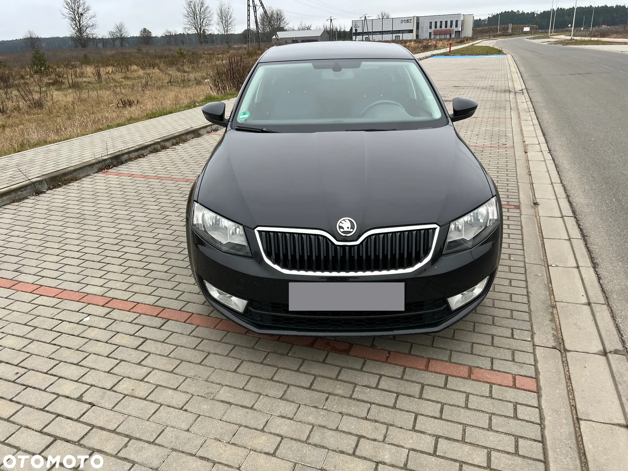 Skoda Octavia 1.6 TDI Family DSG - 2