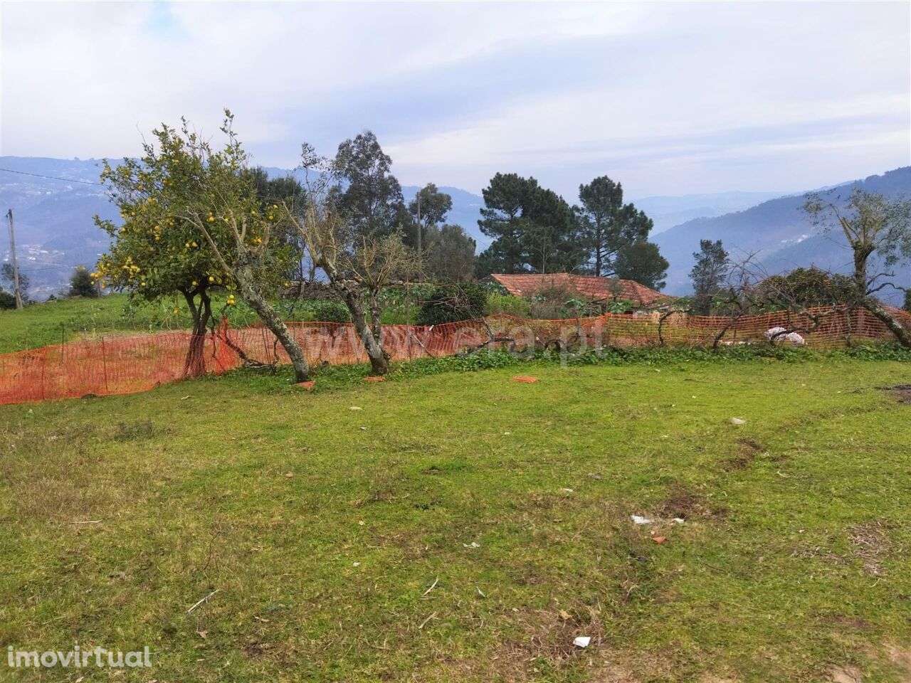 Terreno / Cinfães, Espadanedo - Grande imagem: 4/8