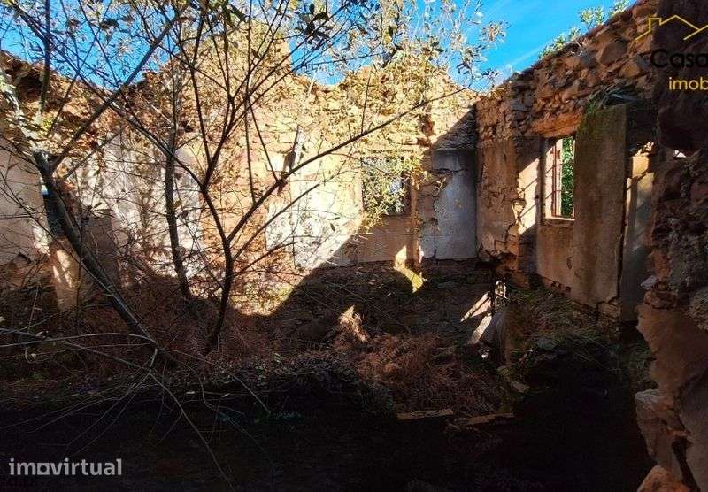 Ruína na aldeia de Faval em Sobral - Grande imagem: 3/10