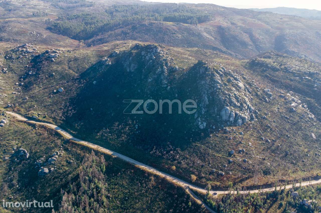 Terreno florestal com 4.2 hectares em Marco de Canaveses - Porto - Grande imagem: 2/7