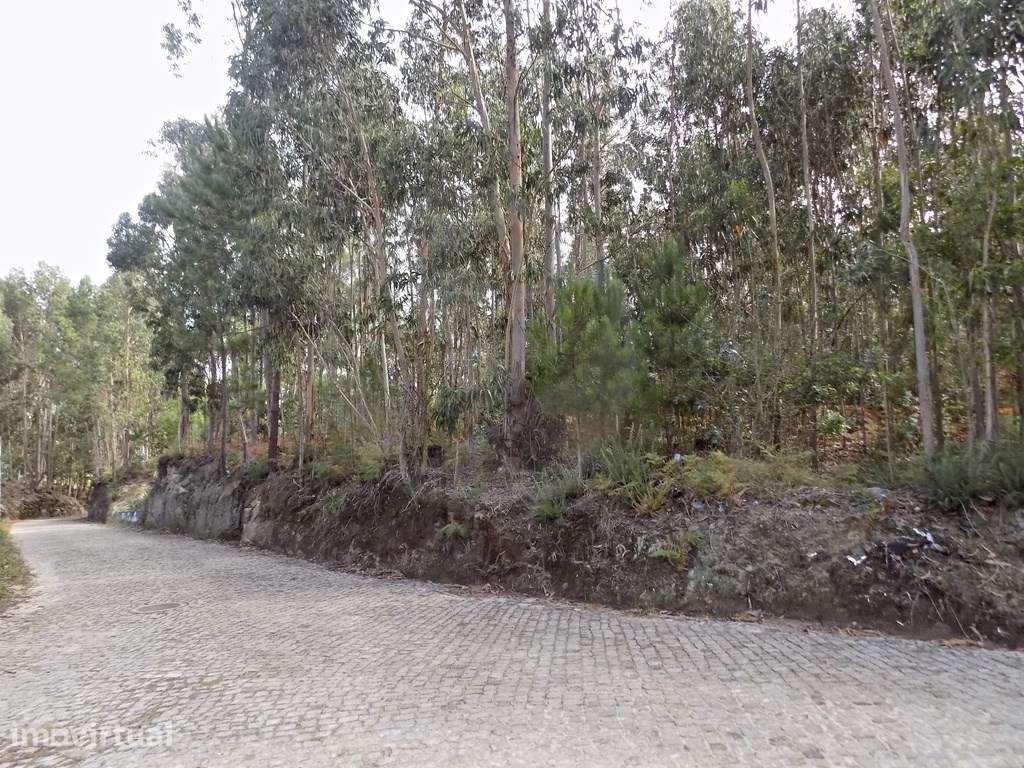 Terreno com mais de 15000 m2 - Grande imagem: 2/14