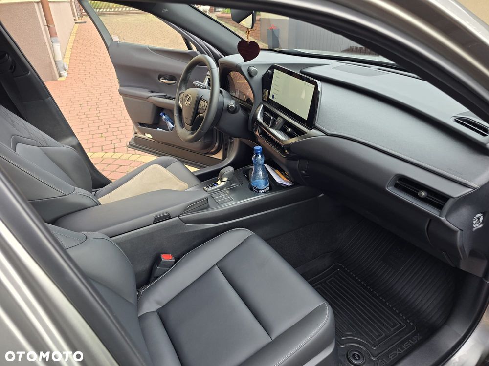 Lexus UX 300h F Sport - 13