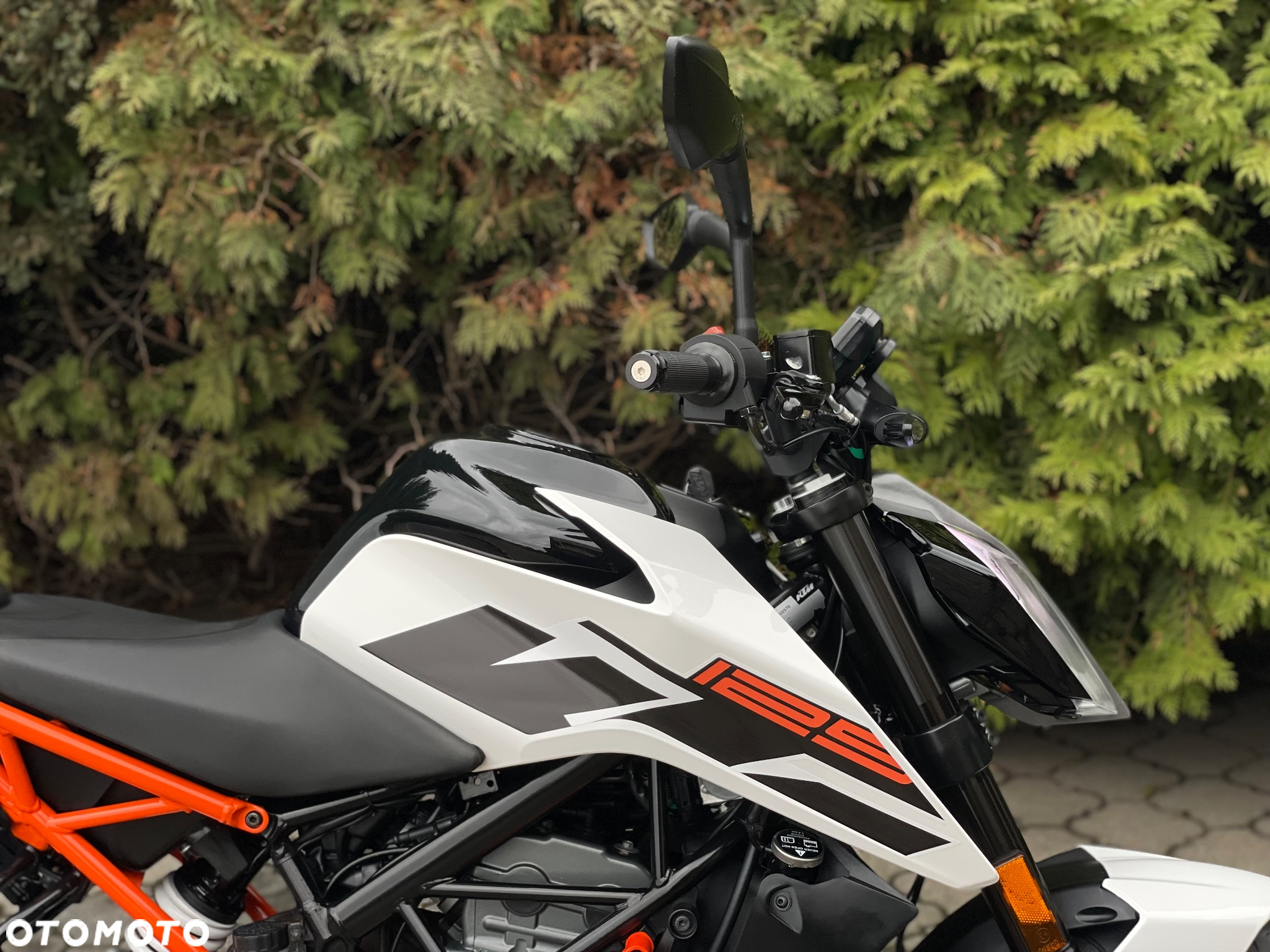 KTM Duke - 12