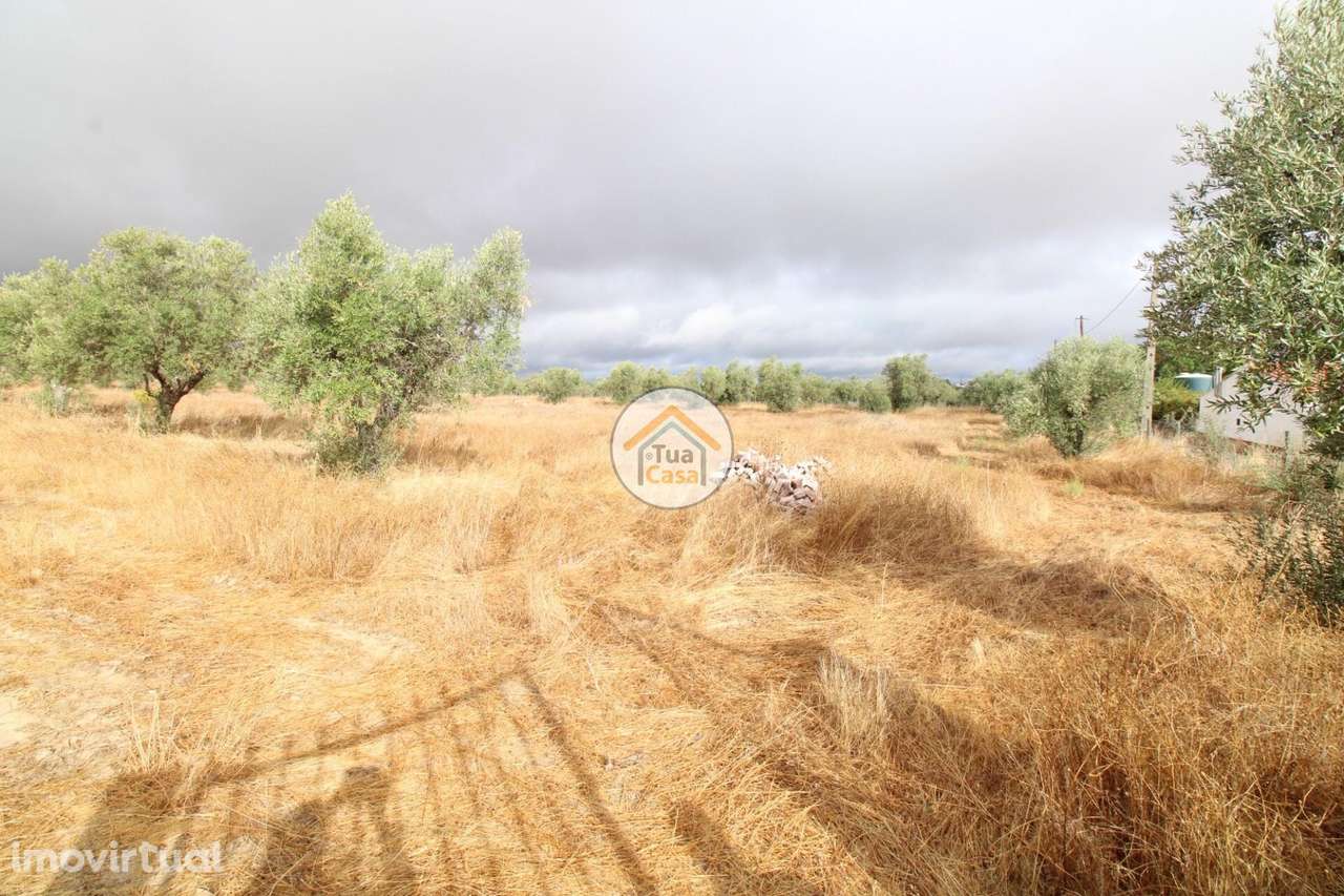 Terreno Misto com 26.000m2 com Área Urbana de 296m2 em Reguengos de Mo - Grande imagem: 5/33