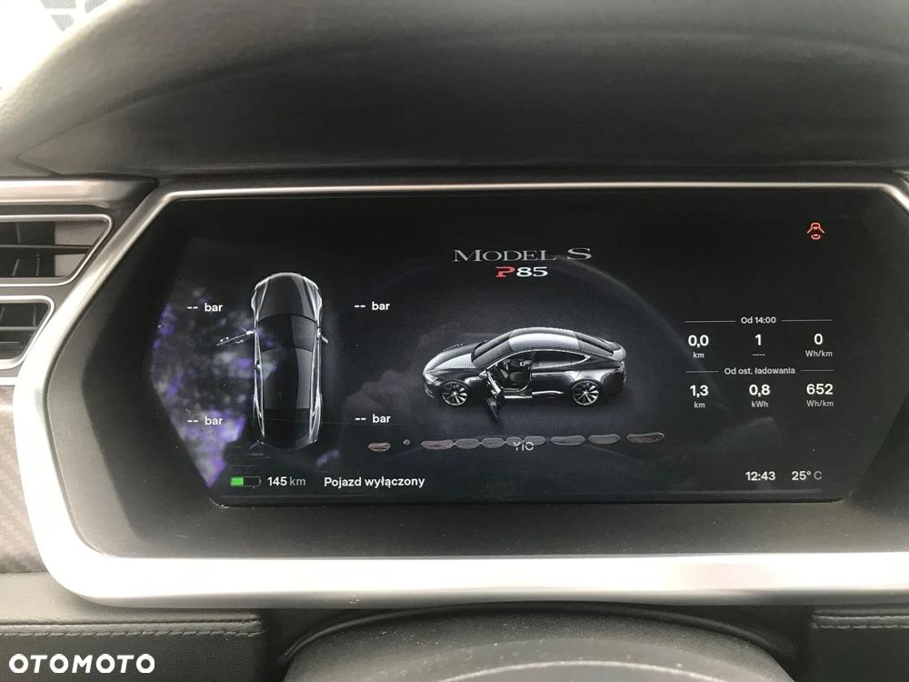 Tesla Model S Performance - 14