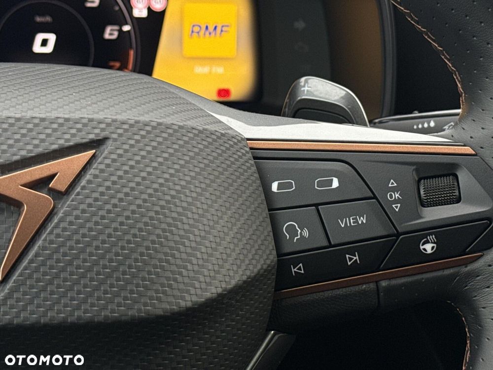 Cupra Formentor 2.0 TSI 4Drive DSG - 17