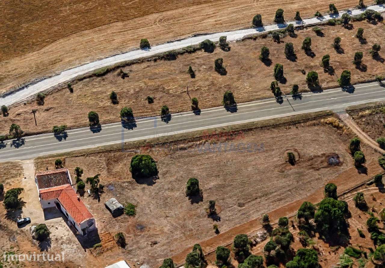 OPORTUNIDADE RARA NO CARTAXO  Moradia Isolada T2 com 4.440 m² de Te... - Grande imagem: 3/9