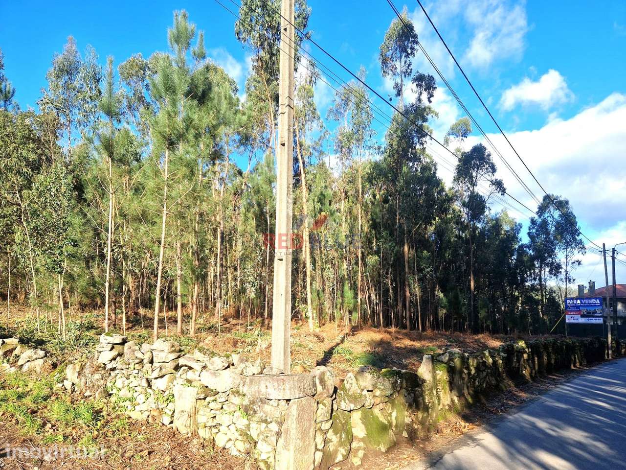 TERRENO PARA CONSTRUÇÃO, NEGREIROS, BARCELOS - Grande imagem: 4/12