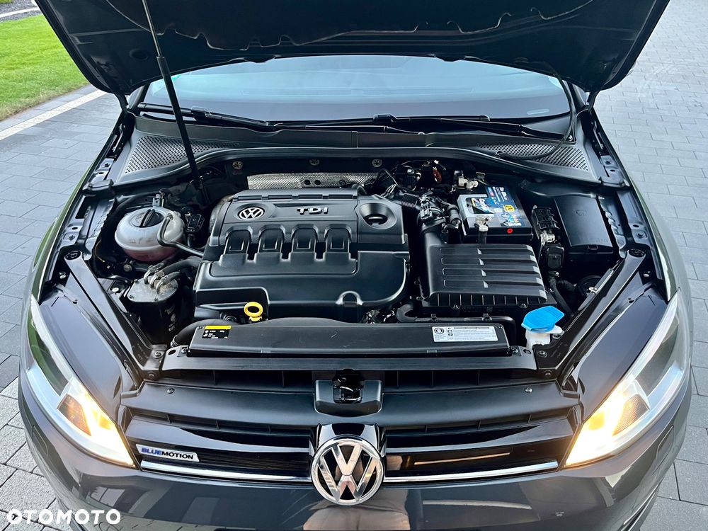 Volkswagen Golf 1.6 TDI BlueMotion Technology Lounge - 40