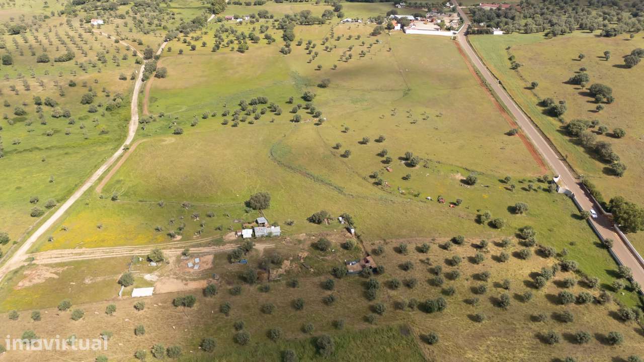 Terreno 9 hectares, água própria e enorme potencial – Alter do Chão - Grande imagem: 3/11