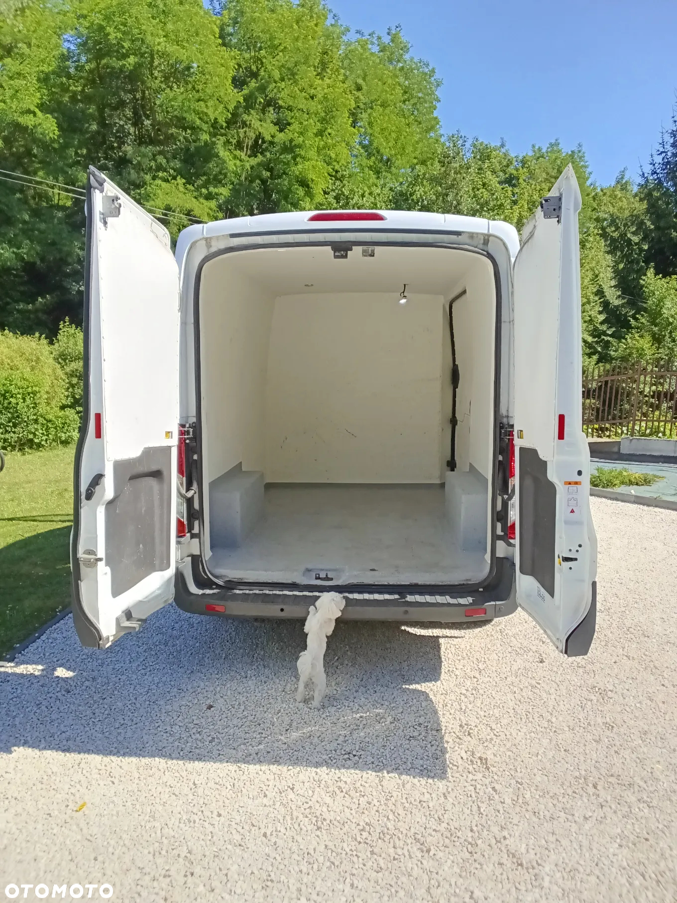 Ford Transit - 4