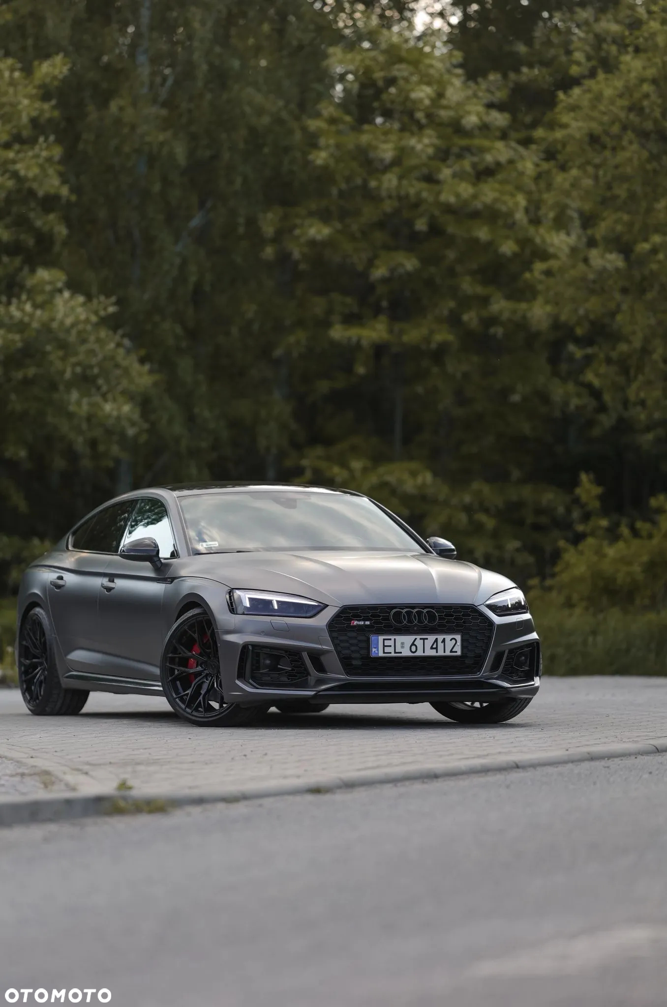 Audi RS5 2.9 TFSI Quattro Tiptronic - 13