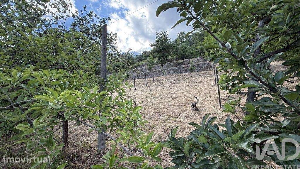 Quinta rural T4 em Parada de Cunhos de 120 m2 - Grande imagem: 5/40