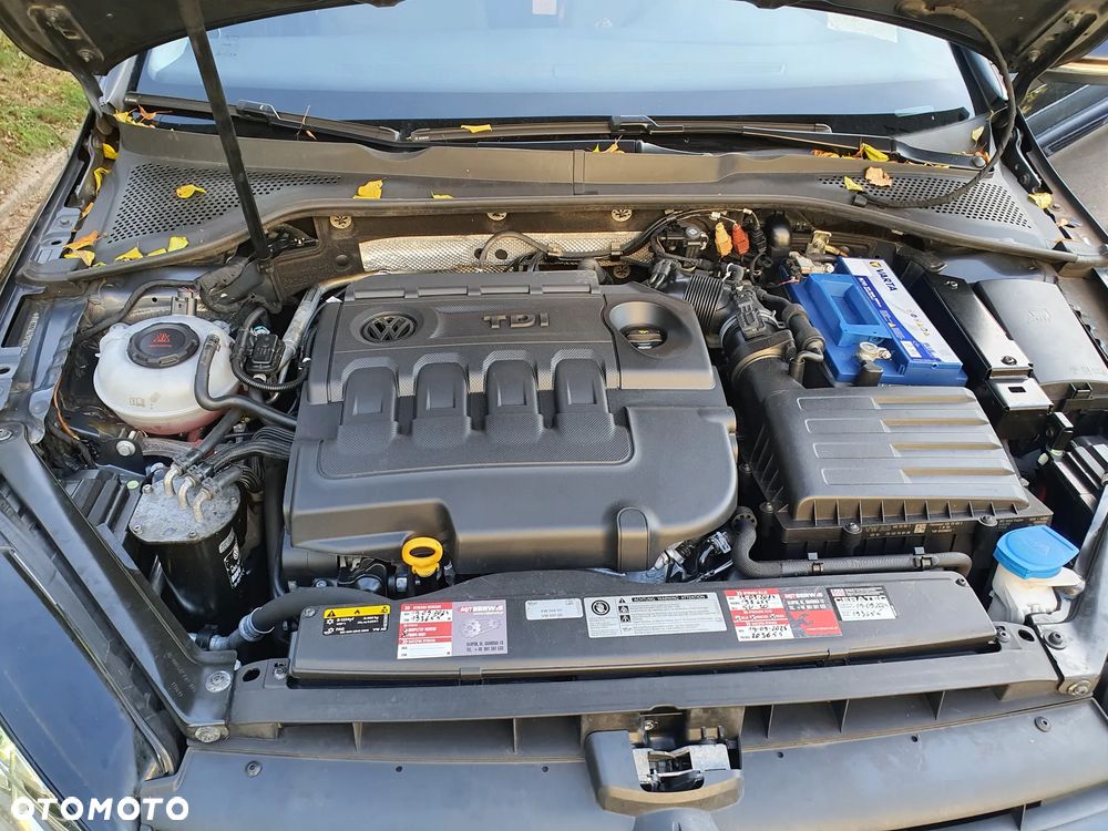 Volkswagen Golf - 24