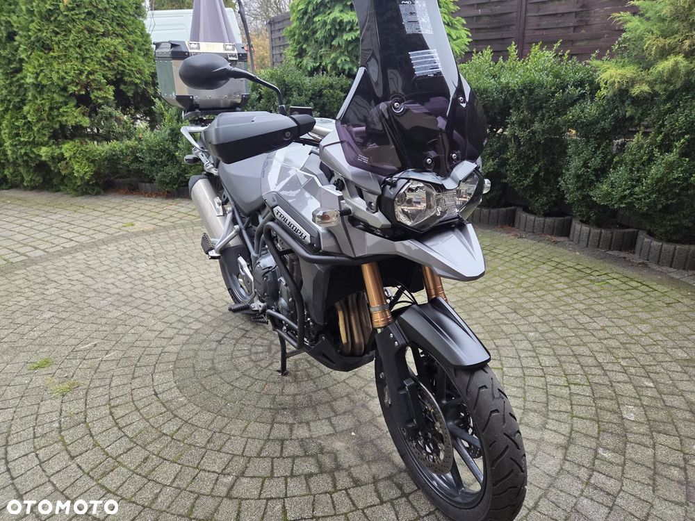 Triumph Tiger - 6